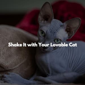 Shake It with Your Lovable Cat - Manhattan Hotel Lounge