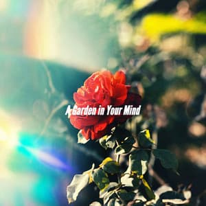 A Garden in Your Mind - Classy Cafe Jazz Music