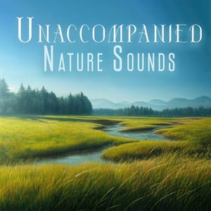 Unaccompanied Nature Sounds: Relaxing Natural Ambience, Peaceful Nature Noises, Calm Music Collection - Harmony Nature Sounds Academy