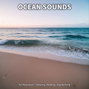 #1 Ocean Sounds for Relaxation, Sleeping, Reading, Dog Barking - Ocean Sounds Collection