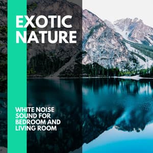 Exotic Nature - White Noise Sound for Bedroom and Living Room - Incredible Oceans