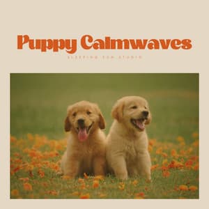 Puppy Calmwaves - Sounds Dogs Love