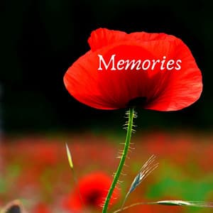 Memories - Selective Sounds PTA