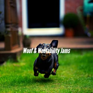 Woof & Woofability Jams - Music for Dogs Moments