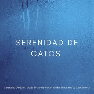 Serenidad De Gatos: Lluvia Binaural Serena Y Ondas Theta Para La Calma Felina - Sonidos de Lluvia 24H