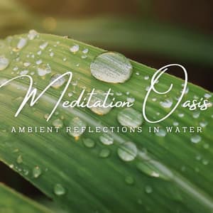 Aquatic Meditation Oasis: Ambient Reflections in Water - Waves Of Time