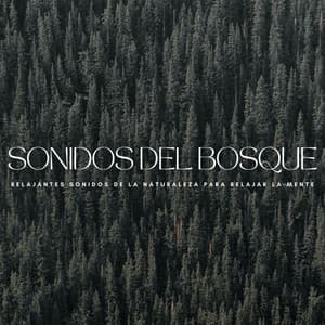 Sonidos Del Bosque: Relajantes Sonidos De La Naturaleza Para Relajar La Mente - Serenidad y Armonía