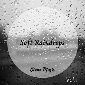 White Noise: Soft Raindrops Vol. 1 - Low White Noise Mode