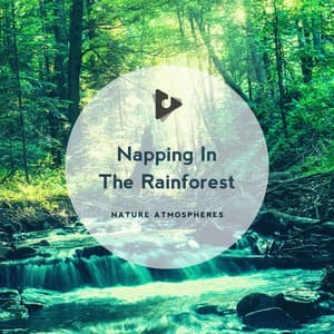 Napping In The Rainforest - Nature Sounds ASMR
