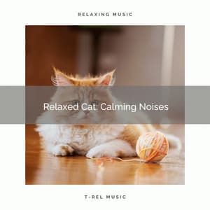1 Relaxed Cat: Calming Noises - Calming Music For Pets