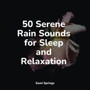 50 Serene Rain Sounds for Sleep and Relaxation - Tranquil Music Sound of Nature