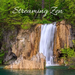 Streaming Zen - Tranquility Spree