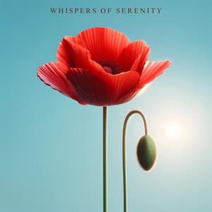 Whispers of Serenity: Meditative Blooms - Calm Music Zone