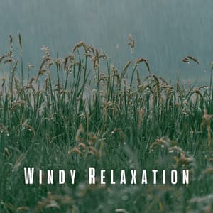 Windy Relaxation: Light Rain and Owl's Symphony - Relaxation Channel