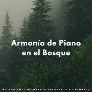 Armonía De Piano En El Bosque: Un Ambiente De Masaje Relajante Y Calmante - PianoPinceOfAnime