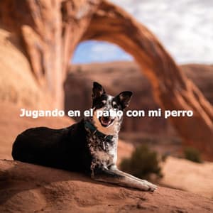 Jugando en el patio con mi perro - Calming Dog Jazz