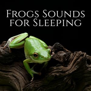 Frogs Sounds for Sleeping - Nature Music Sanctuary