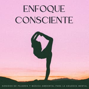 Enfoque Consciente: Sonidos De Pájaros Y Música Ambiental Para La Agudeza Mental - Pájaros en la televisión