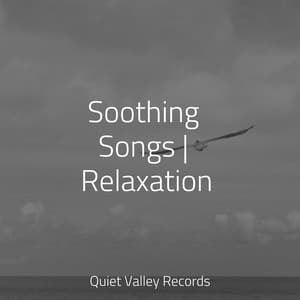 Soothing Songs | Relaxation - Nature Sounds for Concentration