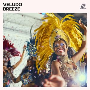 Veludo Breeze: Instrumental Bossa Nova - Bossa Nova Nouveau