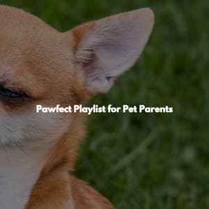 Pawfect Playlist for Pet Parents - Cafe Jazz Paris