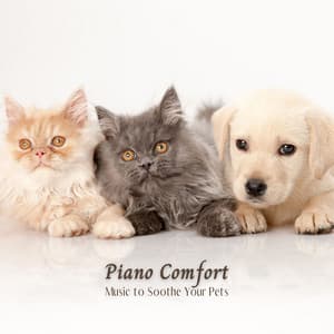 Piano Comfort: Music to Soothe Your Pets - The Jazz Cats