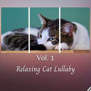 Relaxing Cat Lullaby Vol. 1 - Asian Zen Spa Music Meditation