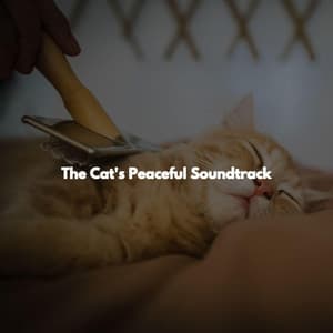 The Cat's Peaceful Soundtrack - Happy Study & Jazz