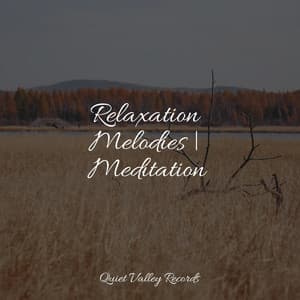 Relaxation Melodies | Meditation - Natural Sound Makers