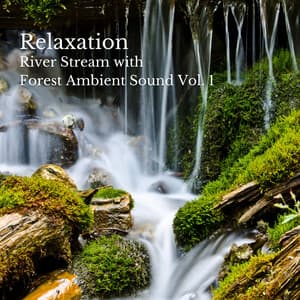 Relaxation: River Stream with Forest Ambient Sound Vol. 1 - Deep Sleep Music Therapy