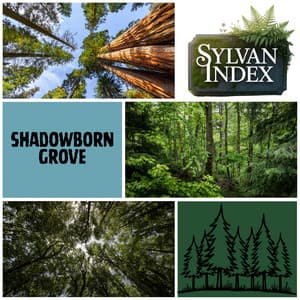 Shadowborn Grove - Sylvan Index