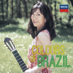 Colours Of Brazil - Xuefei Yang