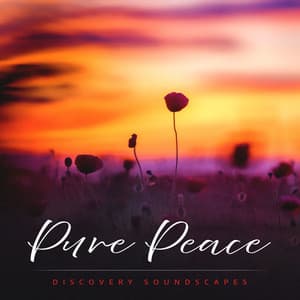 Pure Peace - Discovery Soundscapes
