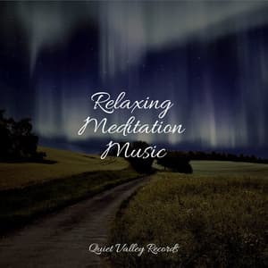 Relaxing Meditation Music - Amazing Spa Music