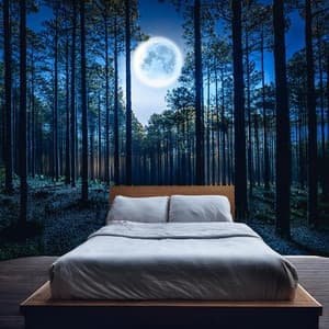 Música Para Dormir: Armonías Suaves Para La Noche - Música para soñar