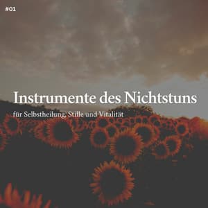 * Instrumente des Nichtstuns für Selbstheilung, Stille und Vitalität * - Schlafmusik