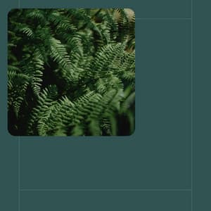 Positive Feelings - Refreshing Tracks