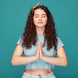 Meditation: Ambient Music for Rejuvenation and Renewal Vol. 1 - Asian Zen Spa Music Meditation