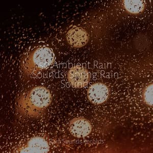 50 Ambient Rain Sounds: Spring Rain Sounds - Lucid Dreaming Music
