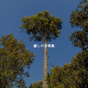 癒しの音楽集 - Luxury Restaurant Music