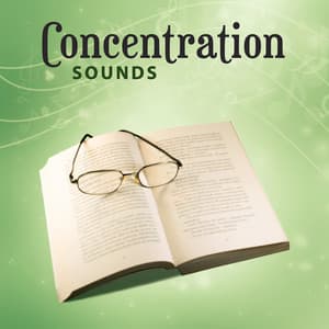 Concentration Sounds – Music for Reading, Train Your Brain, Focus Mind, Exam Study - Study Focus