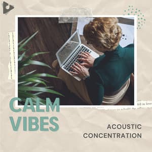 Acoustic Concentration - Calm Vibes