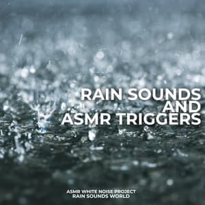 Rain Sounds and Asmr Triggers - ASMR White Noise Project