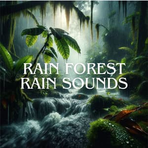 Rain Forest Rain Sounds - Rain Music!
