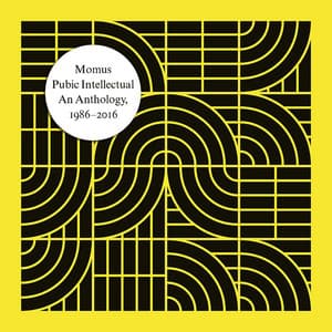 Pubic Intellectual: An Anthology - Momus