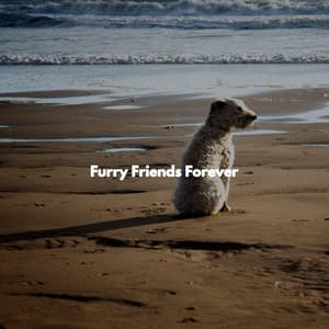 Furry Friends Forever - Trabajar desde Casa Playlist