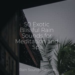 50 Exotic Blissful Rain Sounds for Meditation and Spa - Yoga Music