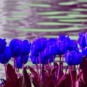 Echoes of Fresh Days - Coffeehouse Jazz