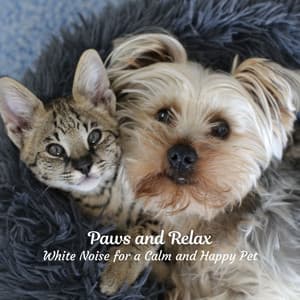 Paws and Relax: White Noise for a Calm and Happy Pet - White Noise for Absolute Sleep