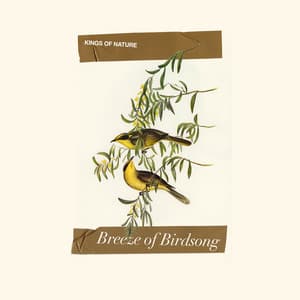 Breeze of Birdsong - Kings of Nature